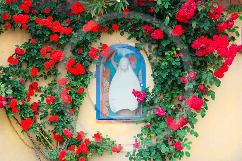 2011- Little Virgin Mother chapel with red rose.