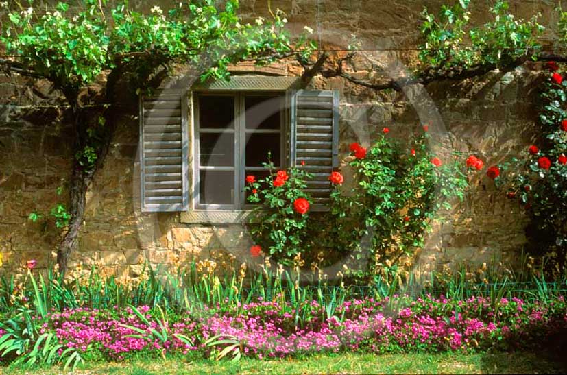 2011- Traditional tuscan door.