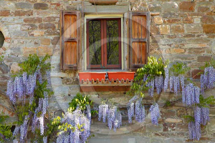 2011- Traditional tuscan door and windows.