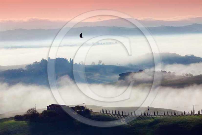 2011 - View of fog on early morning into tuscan hills near Casciano di Murlo place in Crete Senesi land.