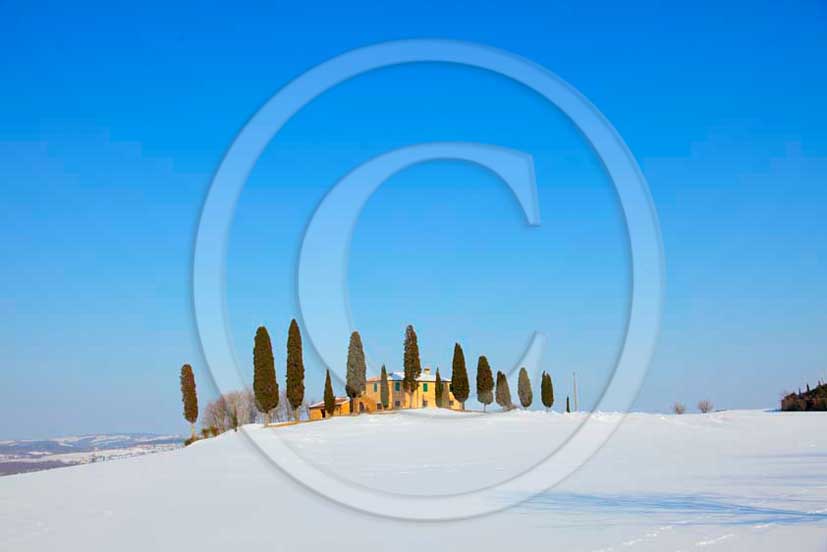 2012 - View of farm, cypress line with snow in winter in Orcia valley.