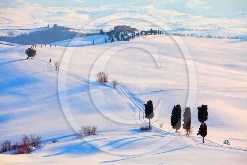 2012 - View of farm, cypress line with snow in winter in Orcia valley.