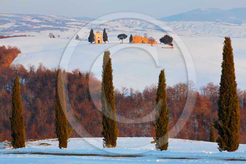 2012 - View of farm, cypress line with snow in winter in Orcia valley.