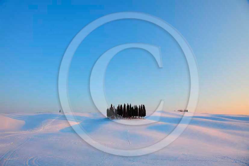 2012 - View of farm, cypress line with snow in winter in Orcia valley.