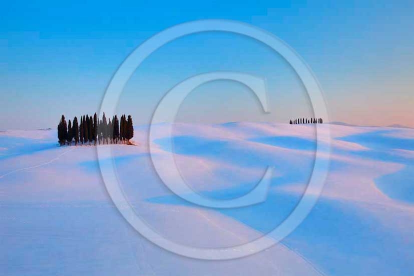 2012 - View of farm, cypress line with snow in winter in Orcia valley.