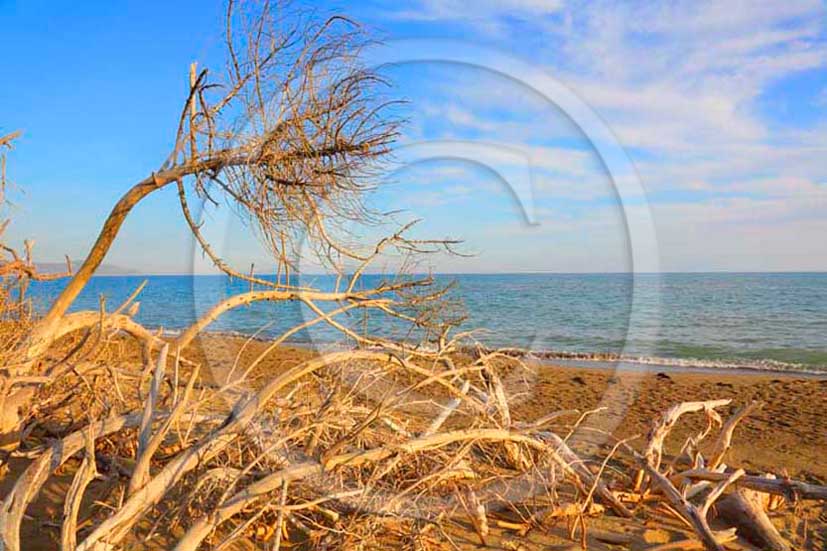 2012 - View of the beach of Alberese into Uccellina park in Maremma land.