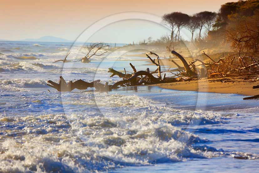 2012 - View of the beach of Marina di Alberese into Uccellina park in Maremma land.