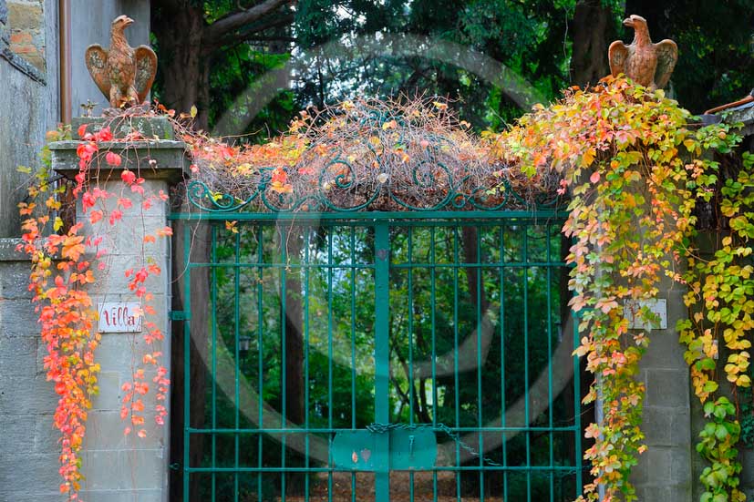 2012 - Traditional door with red and yellow vineyards.