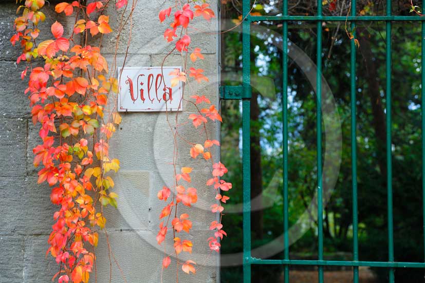 2012 - Traditional door with red and yellow vineyards.