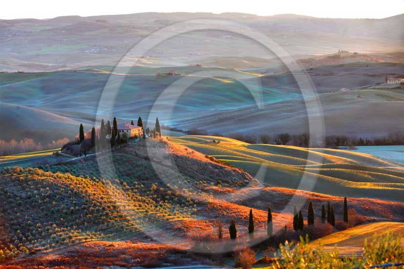 2013 - View on late afternoon in autumn of farm and cypress in Orcia valley near san Quirico d'Orcia village.