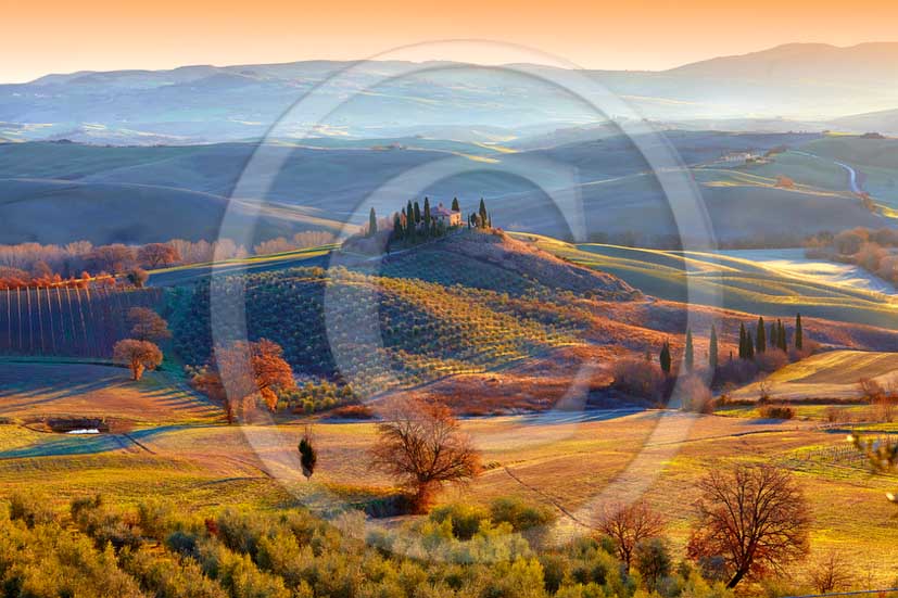 2013 - View on late afternoon in autumn of farm and cypress in Orcia valley near san Quirico d'Orcia village.