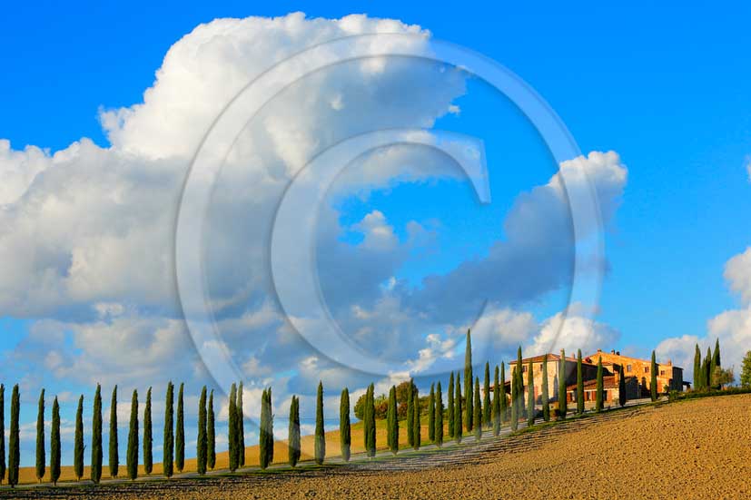 2013 - View on late afternoon in autumn of farm and cypress in Orcia valley.