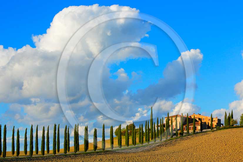 2013 - View on late afternoon in autumn of farm and cypress in Orcia valley.