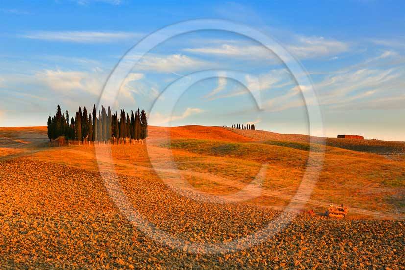 2013 - View on sunset of cypress in Orcia valley.