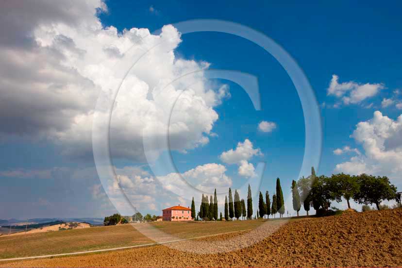 2008 - Landscapes of farm and cipress line with white clouds in blue sky in summer, near S.Quirico village, Orcia valley, 23 miles south province of Siena.  			
  			