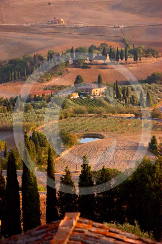   			2008 - Landscapes with farm and cypress on late afternoon in summer, in Pienza medieval village, Orcia valley, 20 miles
south the province of Siena.
  			
  			
  			