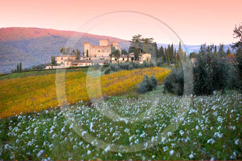 2008 - Landscapes with Meleto catle and yellow vineyards on sunrise in autumn, near gaiole in Chianti village, Chianti land, 18 miles south east Siena province.  			
  			