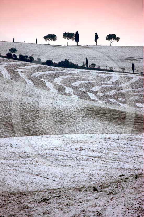 2009 - Landscapes of plowed field and cipress with snow in winter on late afternoon, near S.Quirico village, Orcia valley, 15 miles south the province of Siena.  			
  			