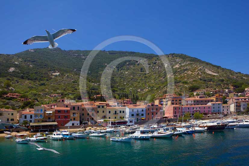  2009 - View of the port of Isle of Giglio on summer, Maremma land, 80 miles south the province of Grosseto.