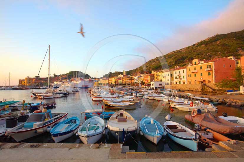 2009 - View of the port and old fisher's boats of Isle of Giglio in early morning on summer, Maremma land, 80 miles south the province of Grosseto.