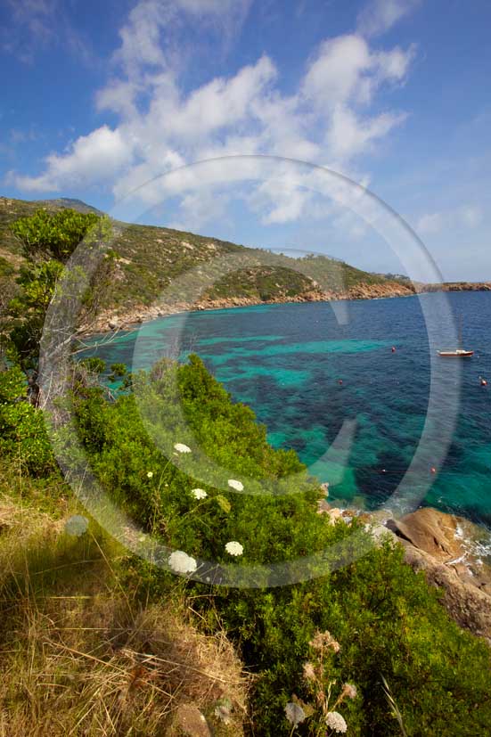 2009 - View of the coast of Caldane beach of Isle of Giglio on summer, Maremma land, 80 miles south the province of Grosseto.