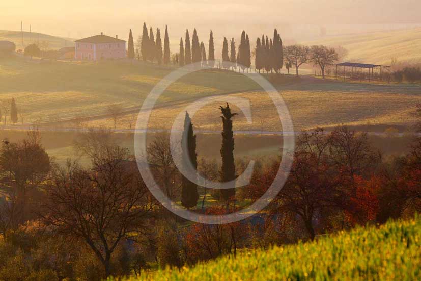 2009 - Landscapes of farm and cipress line on sunrise in spring, near S.Quirico village, Orcia valley, 23 miles south province of Siena.