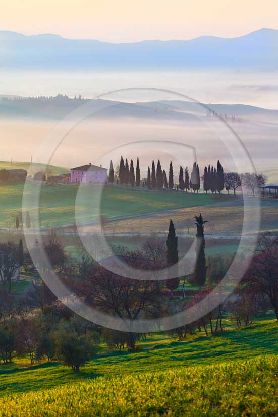 2009 - Landscapes of farm and cipress line on sunrise in spring, near S.Quirico village, Orcia valley, 23 miles south province of Siena.