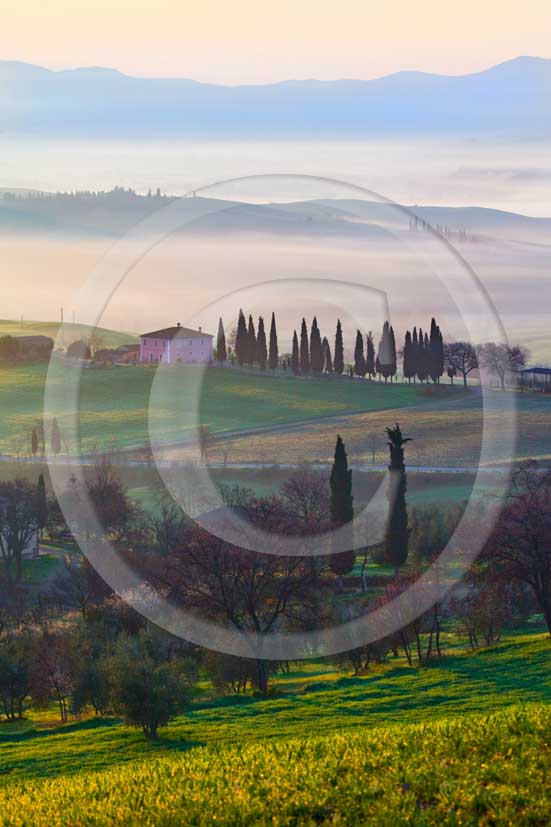 2009 - Landscapes of farm and cipress line on sunrise in spring, near S.Quirico village, Orcia valley, 23 miles south province of Siena.