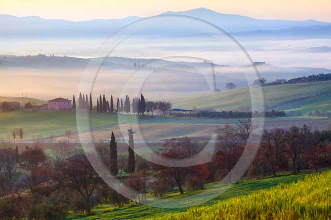 2009 - Landscapes of farm and cipress line on sunrise in spring, near S.Quirico village, Orcia valley, 23 miles south province of Siena.