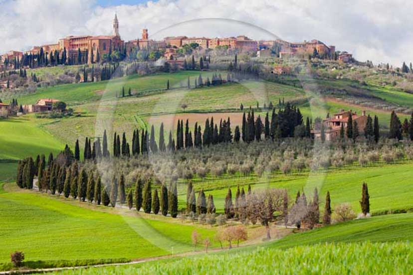   			2009 - View of Pienza medieval village with farm and cipress line on foreground in spring, Orcia valley, 21 miles south Siena province.
  			