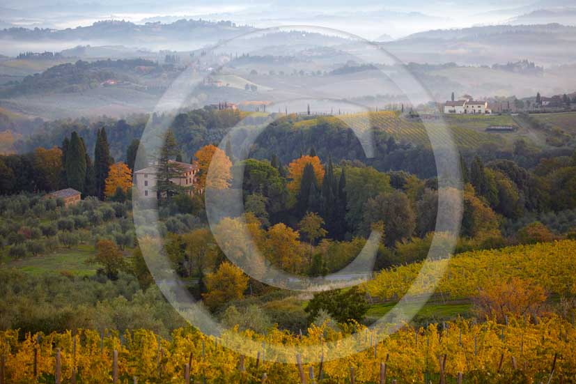   			  			2009 - Landscapes of yellow vineyards and farm S.Gimignano medieval village on autumn in early morning with fog, Elsa valley, Chianti land, 30 km south Florence province.
  			
  			