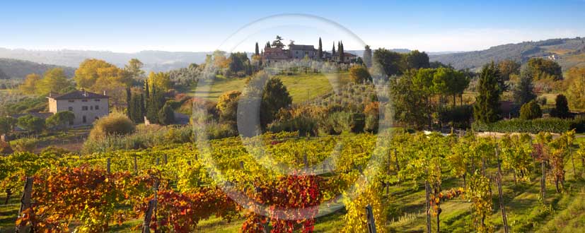   			2009 - Panoramic view of yellow and red vineyards with farm near S.Gimignano medieval village on autumn in early morning, Elsa valley, Chianti land, 30 km south Florence province.
  			
  			