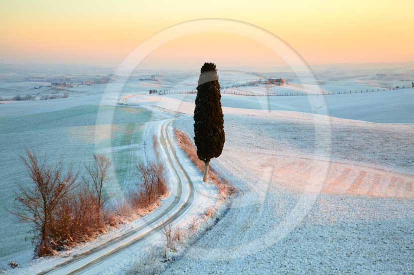 2009 - Landscapes of Cypress  and country road with snow in winter on sunrise, near Ville di Corsano place, 8 miles south Siena province.  			  			
  			
  			