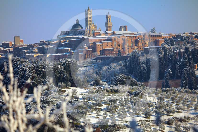 2009 -  Surrounding country viewer of Siena town and its Cathedral with the main tower of the city 