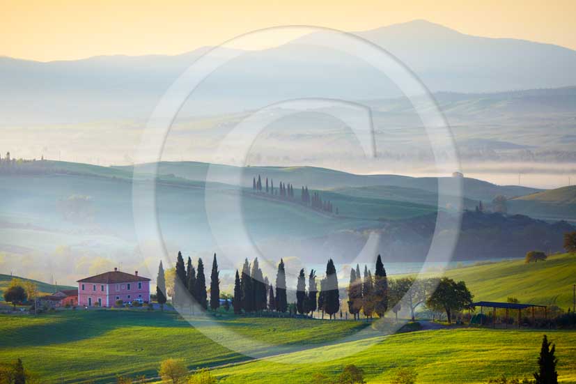 2010 - Landscapes of farm and cipress line on sunrise in spring, near S.Quirico village, Orcia valley, 23 miles south province of Siena.