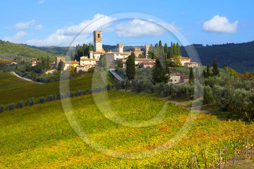 2011 - view of vineyard in Badia a Passignano abbay in Chianti Classico land.
