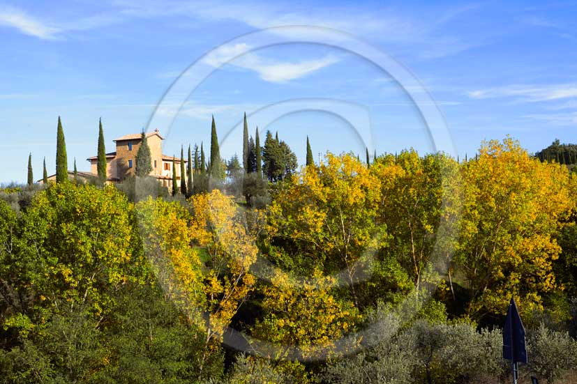 2011 - view of tuscan farm with cipress near Montalcino village in Arbia valley.