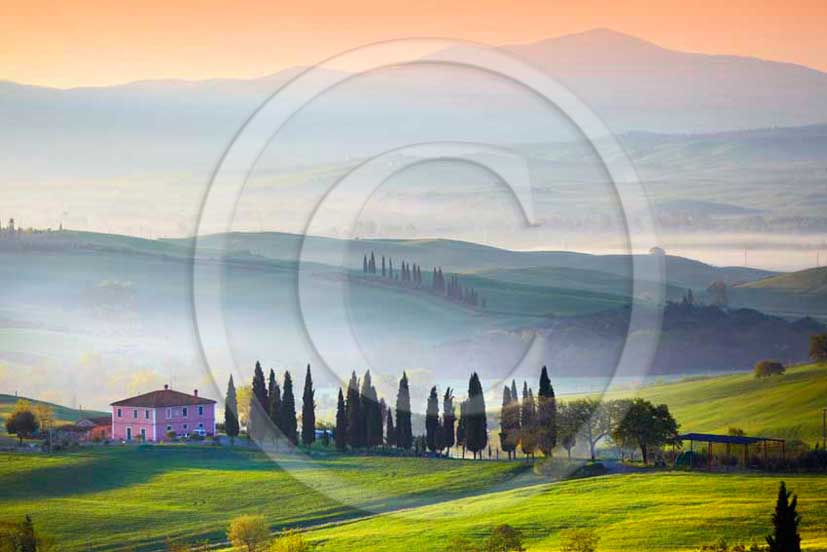 2011 - Cypress ans tuscan skyline with farm and cipress at sunrise in Orcia valley.