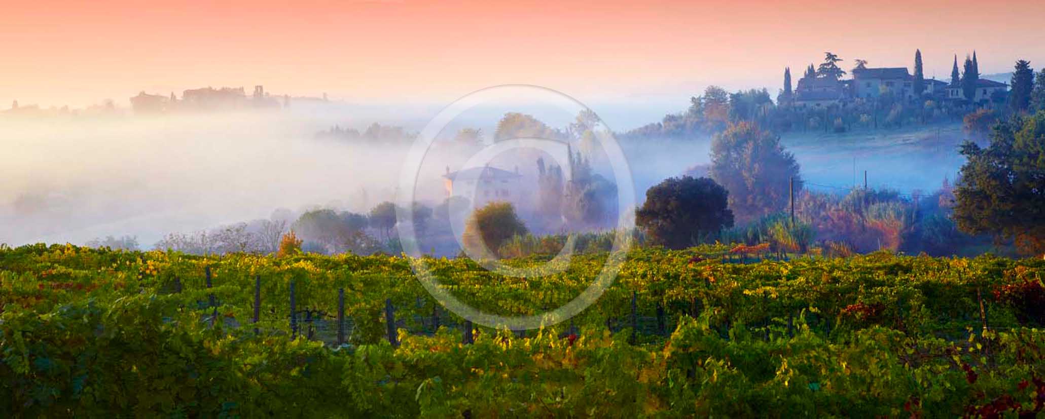 2011 - Panoramic view on sunrise with fog of vineyards and farm near San Gimignano village in Chianti Classico land.