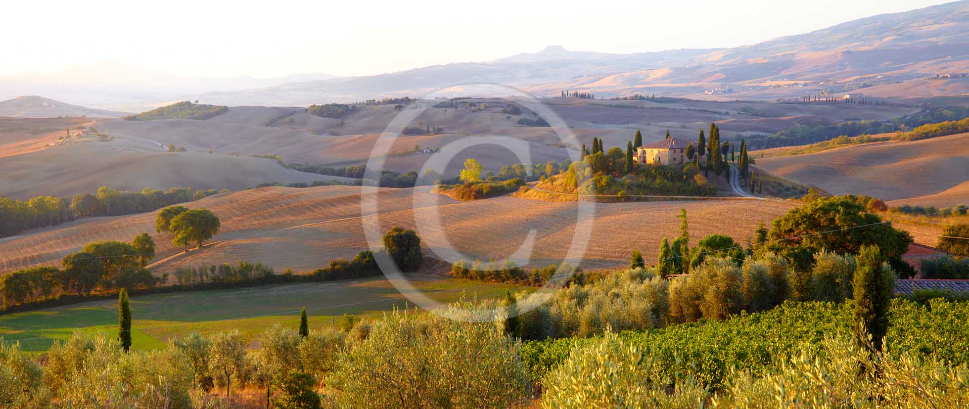 2011 - Panoramic view in autumn on sunset of farm with and yellow vineyards in Orcia valley near San Qurico Orcia.